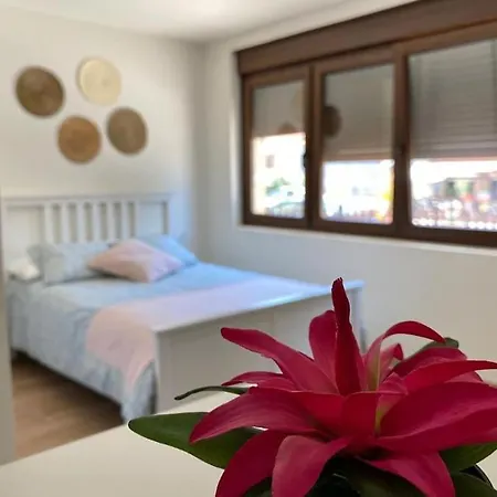 아파트 La Casa Del Arbol 콜쿠비언