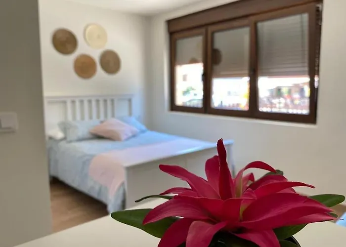 Διαμέρισμα La Casa Del Arbol Corcubión